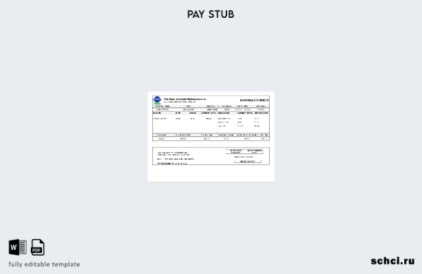 скачать в цифровом формате, США, Техас, шаблон отчета о доходах коммерческой кли